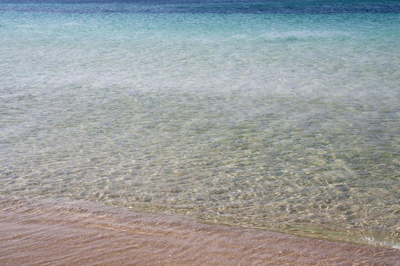 Appartamento Climatizzato A 30 M Dalla Spiaggia Con Vista Mare 토레 모차 외부 사진